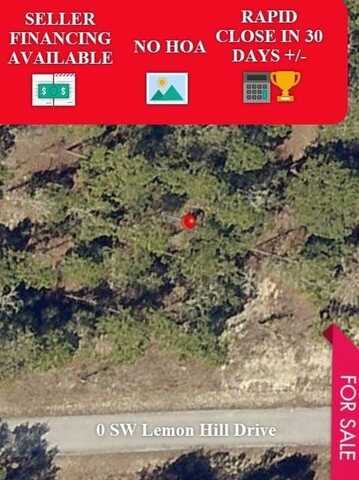 0 SW Lemon Hill Drive, Dunnellon, FL 34431
