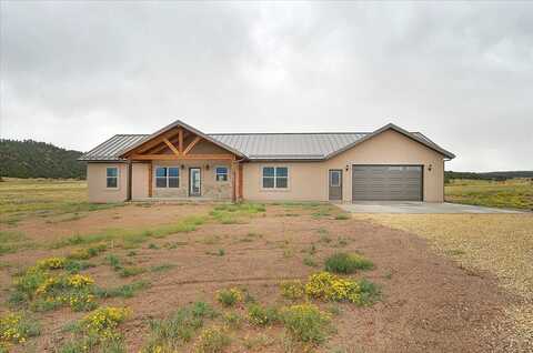 1441 County Rd 310, Westcliffe, CO 81252