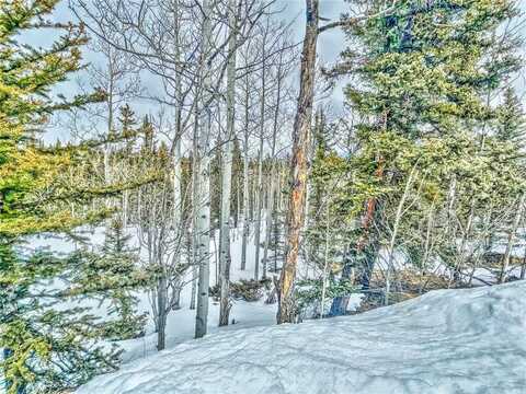 486 PATHFINDER ROAD, Como, CO 80456