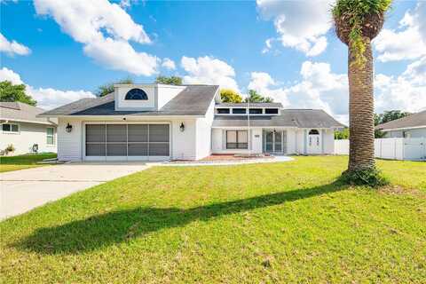 Wysocki, SPRING HILL, FL 34606