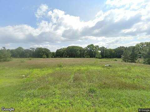 119Th, CLEAR LAKE, MN 55319