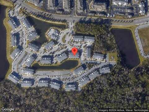 Green Parrot, JACKSONVILLE, FL 32256