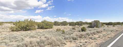 0 N7298 --, Saint Johns, AZ 85936