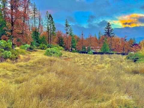 310 Reservoir Rd, Hayfork, CA 96041