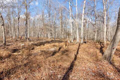 845 Tranquil Acres, Sequatchie, TN 37374