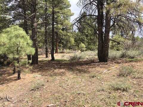 166 Stevens Circle, Pagosa Springs, CO 81147