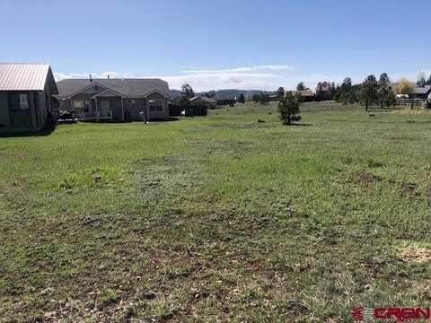 1195 Hills Circle, Pagosa Springs, CO 81147