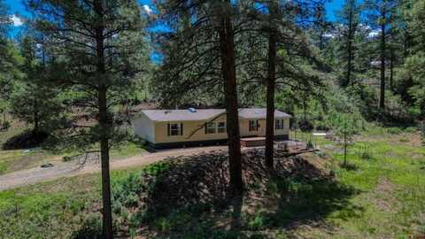 603 Evergreen Drive, Pagosa Springs, CO 81147