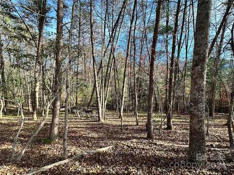 Tbd Burley Ridge, Candler, NC 28715