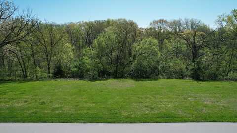 Lot 20 Amended Plat of Mill Creek Street, Adel, IA 50003