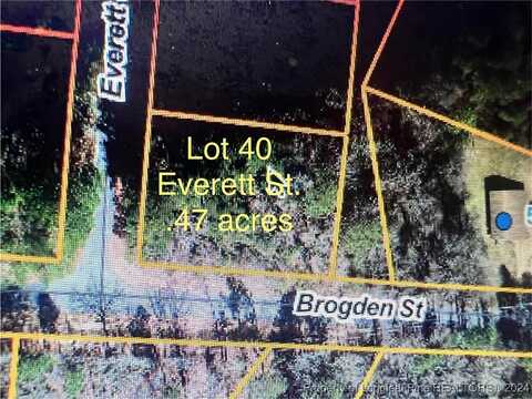 Everett Street, Mount Olive, NC 28365