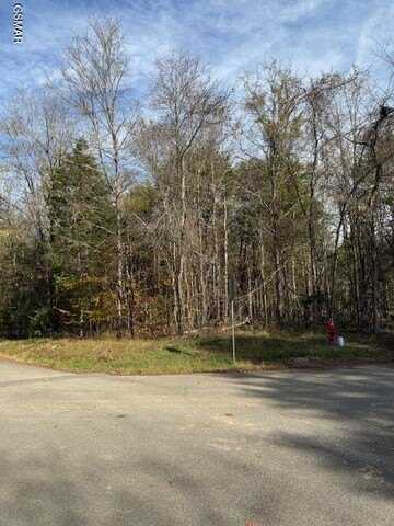 Cove Lane lot: 1023, Baneberry, TN 37890