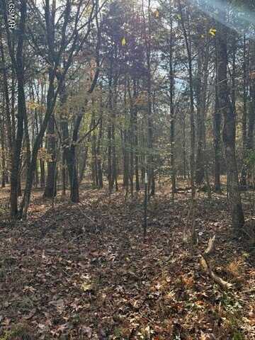 Meadow Court lot: 1031, Baneberry, TN 37890