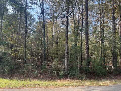 0 Log Wagon Trail, Lumberton, MS 39455