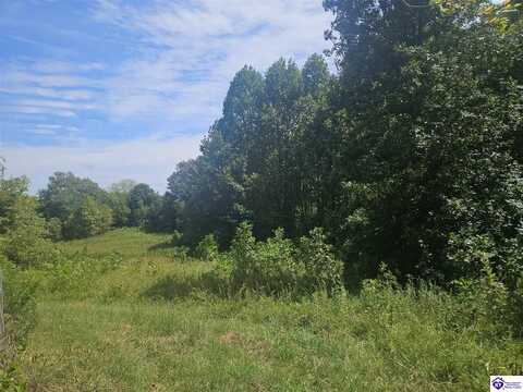 475 L and N Turnpike Road, Hodgenville, KY 42748