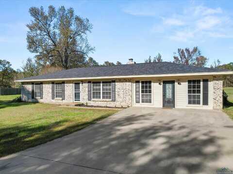 317 county road 2109, Hughes Springs, TX 75656