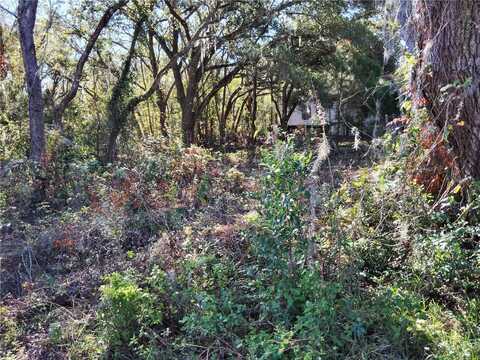 0 TAMER LANE, DADE CITY, FL 33523
