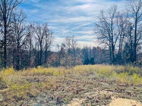 Buntin Schoolhouse Rd, Manitou, KY 42436