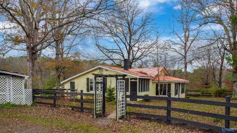 1654 County Road 641, Mentone, AL 35984