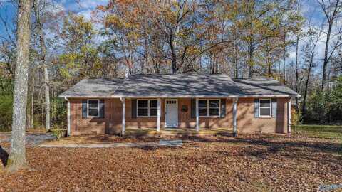 88 Forest Lane, Ider, AL 35981