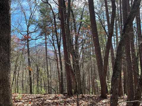 Lot 69 Tipton Springs Road, Morganton, GA 30560