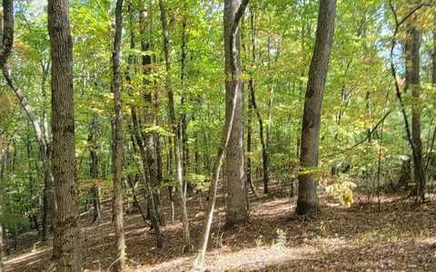 31-a&b Mountain View Lane, Hayesville, NC 28904