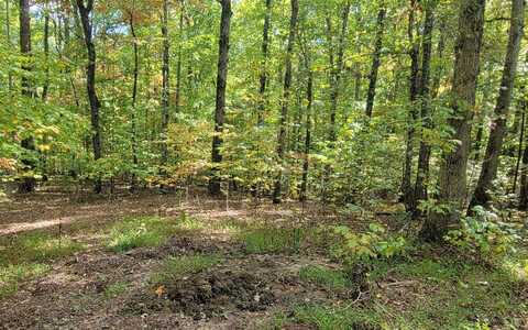 31-b Mountain View Lane, Hayesville, NC 28904