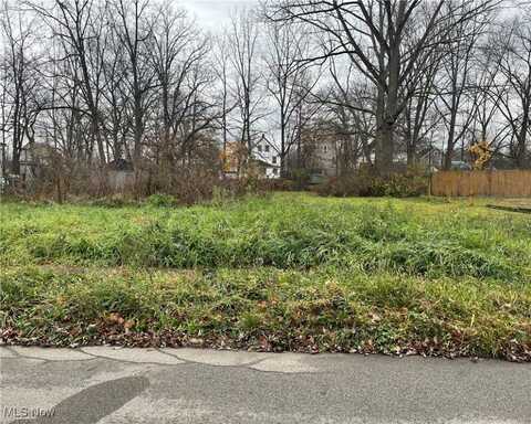 454 Vine Avenue NE, Warren, OH 44483