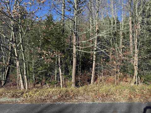 Lot 5 Timmothy Road, Sunapee, NH 03782