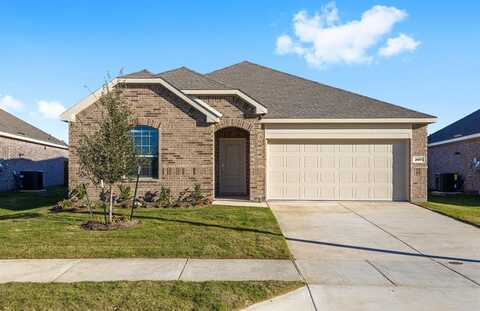 2017 Ensor Drive, Little Elm, TX 75068