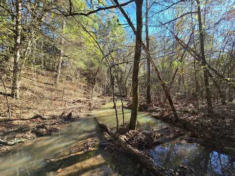 0 TBD Raw Land, Bates, AR 72958