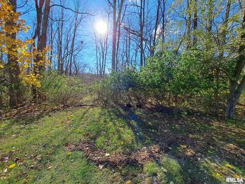 Lot 23 SCENIC HILL, Port Byron, IL 61275