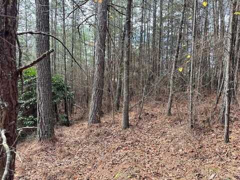 Lot 6 Skyline Drive, Turtletown, TN 37391