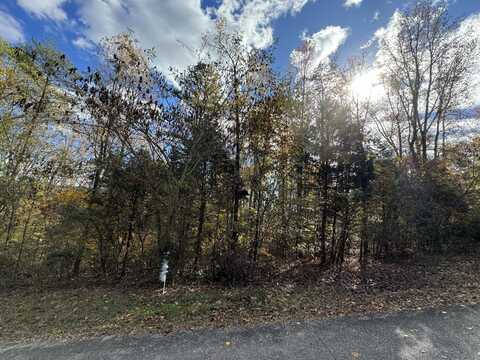 Lot #39 The Gates Drive, Decatur, TN 37322