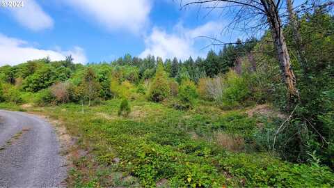 Laurel Butte, Oakridge, OR 97463