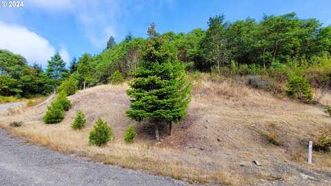 Laurel Butte DR, Oakridge, OR 97463