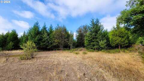 Laurel Butte, Oakridge, OR 97463