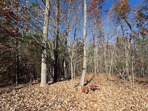 Chestnut Grove Road, Appomattox, VA 24522