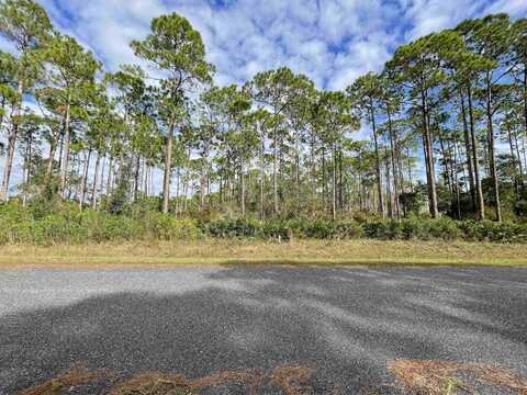 Whiteford Way, Panacea, FL 32346