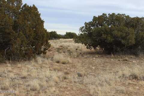5151 Rockwell --, Heber, AZ 85928