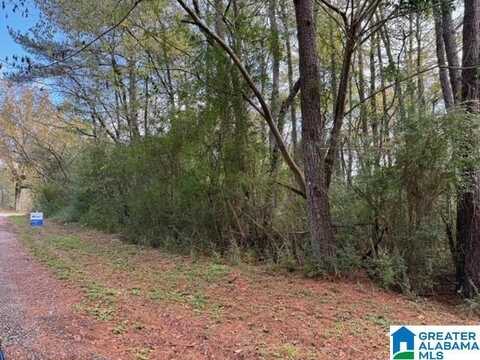 2201 WHITE POST ROAD, BESSEMER, AL 35023