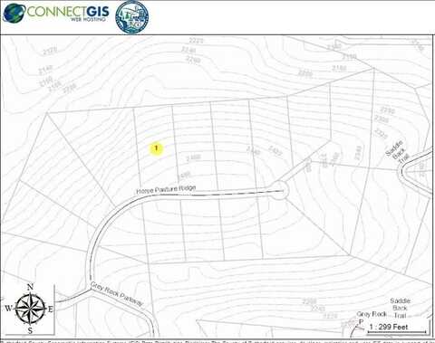 Horse Pasture Ridge unit: 123, Lake Lure, NC 28746