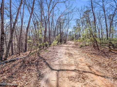 000 Forester Lane, Mill Spring, NC 28756