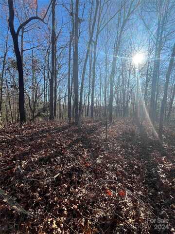 Tba Udvawadulisi Court, Brevard, NC 28712