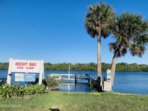 251 Bissit Bay Road, Oak Hill, FL 32759