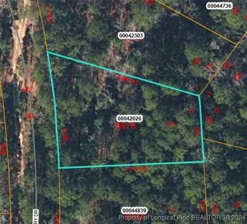 Wild Cherry Drive, Vass, NC 28394