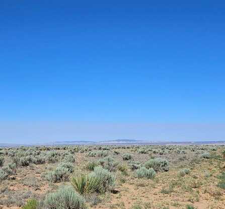 OFF HWY 6 LOT 36, Los Lunas, NM 87031