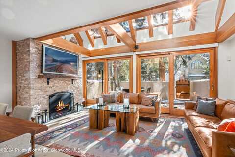 326 W Hopkins Avenue, Aspen, CO 81611