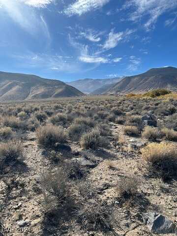 700 Davis Meadow Trail, Dyer, NV 89010