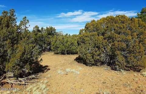 4 Parcels N Shady Oak 404-69-005 /10+acres --, Show Low, AZ 85901
